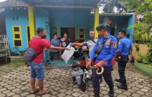 Evakuasi Ular Kobra, 3 Orang Tersembur Bisa di Mata