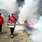 Foto: Petugas PMI Jember saat melakukan fogging di wilayah perumahan Kaliurang Green Garden dan Puri Bunga Nirwana, Rabu (5/1/2022).