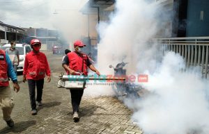 3 Anak Terjangkit DBD, PMI Jember Lakukan Fogging di Beberapa Wilayah
