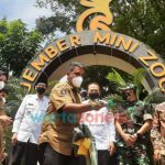 Caption : Bupati Jember Hendy Siswanto dan Owner Jember Mini Zoo Adnan Muhammad, serta jajaran Forkopimda setempat saat melakukan pelepasan burung sebagai simbolis Grand Opening Jember Mini Zoo.