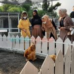 Caption: Sejumlah pengunjung saat melihat beberapa koleksi satwa yang ada di Jember Mini Zoo, Rabu (12/1/2022).
