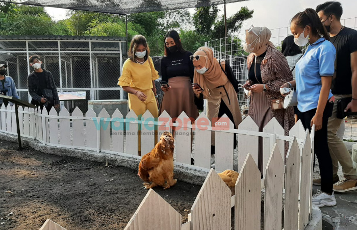 Caption: Sejumlah pengunjung saat melihat beberapa koleksi satwa yang ada di Jember Mini Zoo, Rabu (12/1/2022).