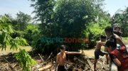 Foto: Tampak bambu-bambu yang menyumbat di aliran sungai, Jumat (14/1/2022).