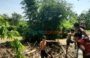 Banjir Kembali Terjang Jember, Ratusan Rumah Terendam