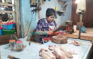Harga Ayam Potong di Jember Merangkak Naik, Pedagang Keluhkan Sepinya Pembeli