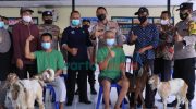 Dinyatakan Sembuh, Para ODGJ Asal Madiun Dapat Hadiah Sepasang Kambing dari Kapolres