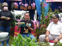 Bunga anggrek