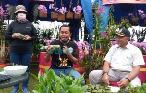 Pameran Tanaman Bunga Anggrek di Puncak Rembangan, Kepala Disparbud Jember: Potensi Pengembangan Wisata Edukasi