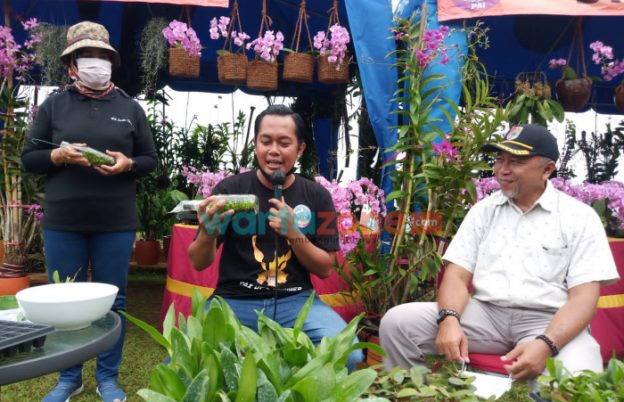 Bunga anggrek