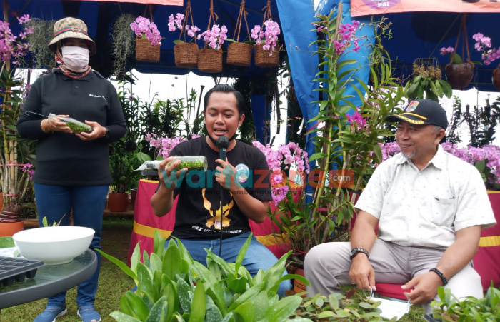 Bunga anggrek