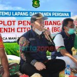 Dinas Ketahanan Pangan dan Pertanian Sumenep, Kepala DKPP Arif Firmanto, Panen perdana demplot, Panen perdana padi varietas unggul, Berita Sumenep,