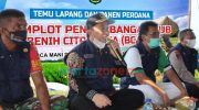 Dinas Ketahanan Pangan dan Pertanian Sumenep, Kepala DKPP Arif Firmanto, Panen perdana demplot, Panen perdana padi varietas unggul, Berita Sumenep,