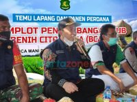 Dinas Ketahanan Pangan dan Pertanian Sumenep, Kepala DKPP Arif Firmanto, Panen perdana demplot, Panen perdana padi varietas unggul, Berita Sumenep,