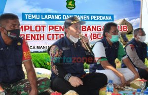 DKPP Sumenep Panen Perdana Demplot Padi Varietas Unggul di Gapura