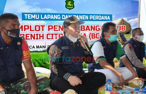 Dinas Ketahanan Pangan dan Pertanian Sumenep, Kepala DKPP Arif Firmanto, Panen perdana demplot, Panen perdana padi varietas unggul, Berita Sumenep,