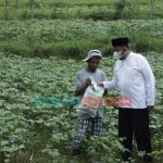 Berhenti di Pinggir Jalan, Bupati Sumenep Temui Petani Berikan Beras dan Amplop saat Safari Ramadan