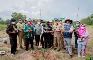 Bupati Pamekasan Tanam 1000 Pohon Pisang Cavendish di Desa Tematik