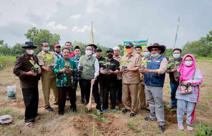 Foto: Bupati Pamekasan, Baddrut Tamam saat melaunching penanaman 1000 pohon pisang cavendish di desa tematik, desa Samatan, Kecamatan Proppo.
