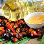 Negara dengan Konsumsi Minyak Goreng Terbesar di Dunia