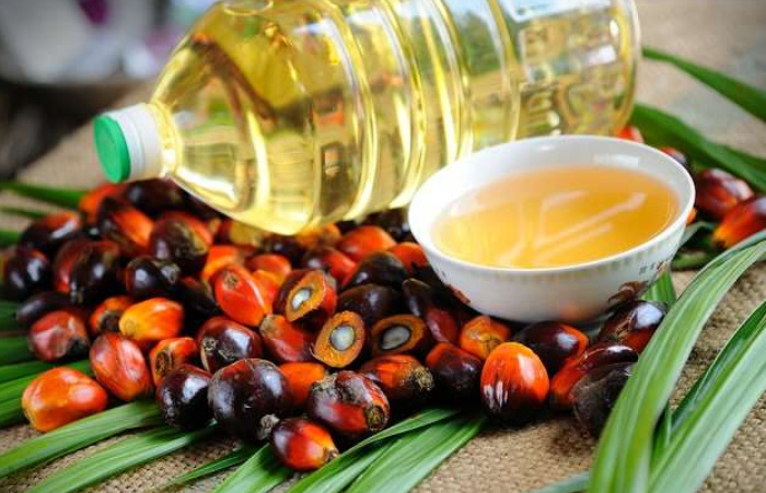 Negara dengan Konsumsi Minyak Goreng Terbesar di Dunia