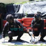 Tim Jibom Polda Jatim Musnahkan 31 Kg Bahan Petasan di Jember