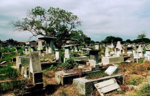 Ziarah Kubur dan Hukum Membersihkan Rumput atau Belukar di atas Makam