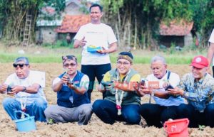 Bupati Pamekasan Ikuti Kegiatan Tanam Raya Tembakau, Bersama Masyarakat Proppo