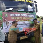 Daun Kelor Asal Kabupaten Sumenep Tembus Pasar China