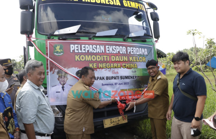 Daun Kelor Asal Kabupaten Sumenep Tembus Pasar China