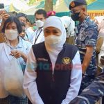 Gubernur Khofifah_ Hewan Kurban Tak Perlu Divaksin, Cukup Diberi Vitamin
