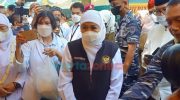 Gubernur Khofifah_ Hewan Kurban Tak Perlu Divaksin, Cukup Diberi Vitamin
