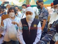 Gubernur Khofifah_ Hewan Kurban Tak Perlu Divaksin, Cukup Diberi Vitamin