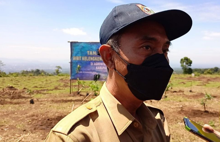Petani Keluhkan Kurangnya Pupuk Subsidi, Pemkab Jember Ajukan Tambahan ke Dinas Provinsi Jatim