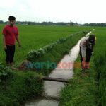 Remaja 16 Tahun di Jember Tersambar Petir di Tengah Sawah
