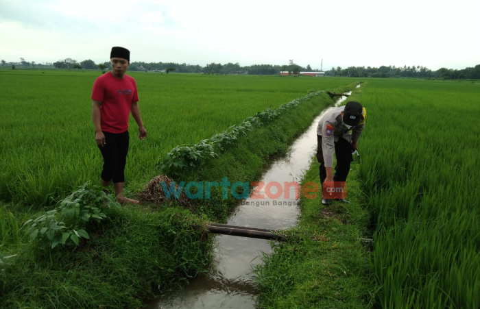 Remaja 16 Tahun di Jember Tersambar Petir di Tengah Sawah