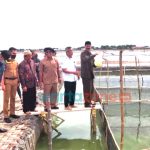 Wabup Pamekasan Hadiri Panen dan Penebaran Benih Kerapu Cantang di Desa Lembung