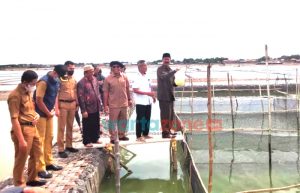 Wabup Pamekasan Hadiri Panen dan Penebaran Benih Kerapu Cantang di Desa Lembung