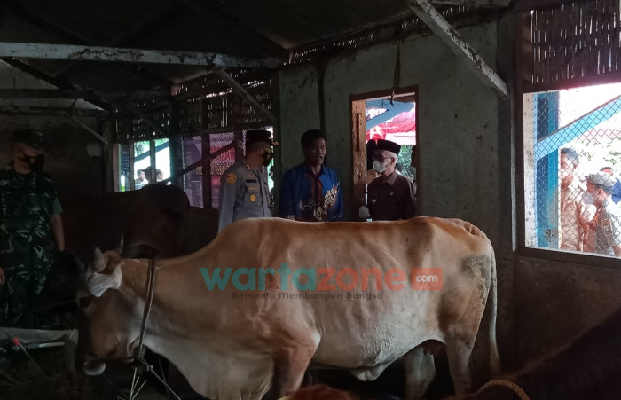 Bupati Bondowoso Siapkan 6.000 Dosis Vaksin PMK Jelang Idul Adha