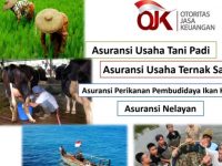 DKPP Sumenep Sosialisasikan Program Asuransi Tani, Ini Sederet Manfaatnya