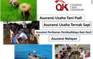 DKPP Sumenep Sosialisasikan Program Asuransi Tani, Ini Sederet Manfaatnya