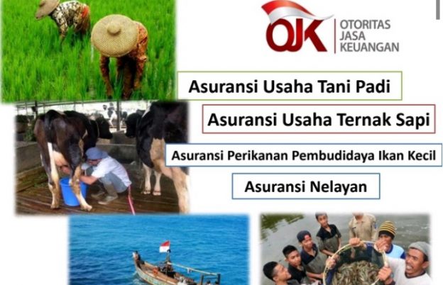 DKPP Sumenep Sosialisasikan Program Asuransi Tani, Ini Sederet Manfaatnya