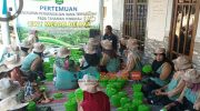 DKPP Sumenep Bekali Petani Ilmu Pengendalian Hama