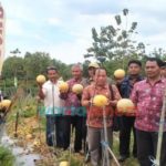DKPP Pamekasan Siap Fasilitasi Desa yang Hendak Kembangkan Tanaman Holtikultura