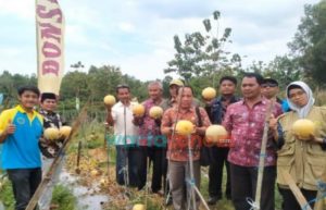 DKPP Pamekasan Siap Fasilitasi Desa yang Hendak Kembangkan Tanaman Holtikultura