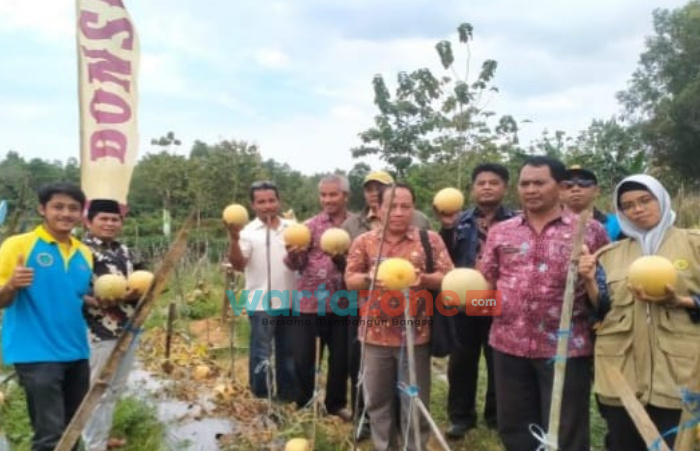 DKPP Pamekasan Siap Fasilitasi Desa yang Hendak Kembangkan Tanaman Holtikultura