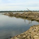Viral! Tulang-belung Muncul Kepermukaan Akibat Sungai Terpanjang di Dunia Kering