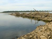 Viral! Tulang-belung Muncul Kepermukaan Akibat Sungai Terpanjang di Dunia Kering