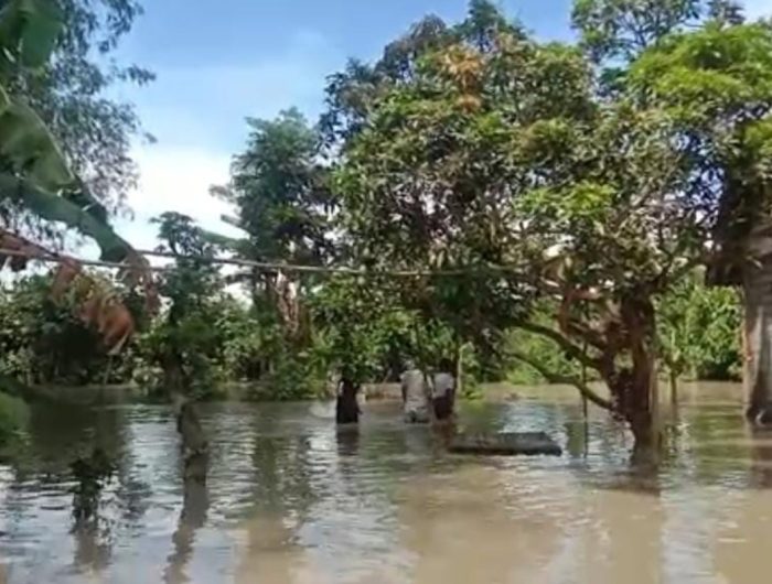 Foto: Puluhan hektar pertanian di Jember rusak akibat luapan sungai yang melintasi empat desa di wilayah Kecamatan Jombang, Kabupaten Jember.