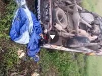 Mobil Pick Up Angkut Belasan Buruh Tani di Jember Terperosok Masuk Sawah
