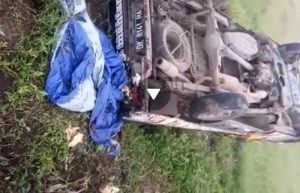 Mobil Pick Up Angkut Belasan Buruh Tani di Jember Terperosok Masuk Sawah